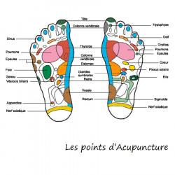 point d'acupuncture sous les pieds