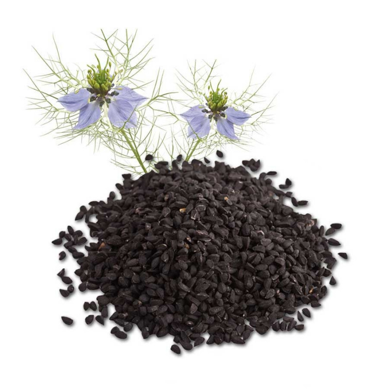 Nigella sativa CUMIN NOIR / NIGELLE (20 graines)